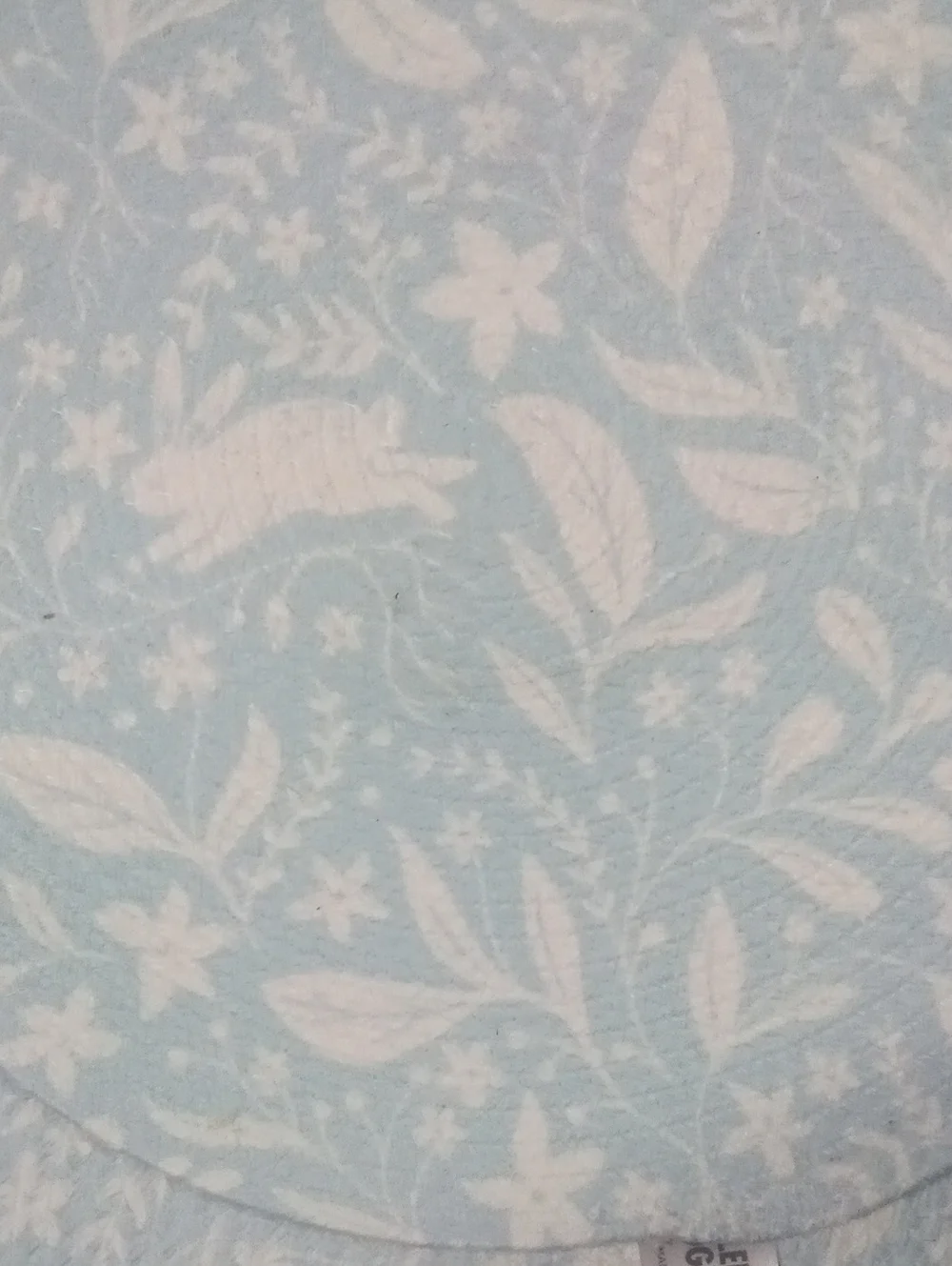 Pastel Blue Floral Round Placemats Set of 2 NWT $19.98 Celebrate Together